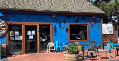 Stellar Brew