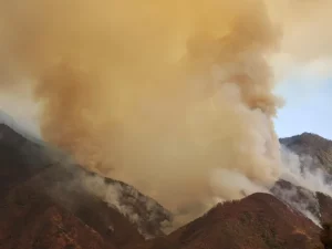 058ce58b 9251 4975 9032 acd2e5650999 fire