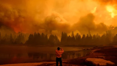 20210923 forest fire sequoia national park afp