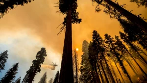 Tulare County Issues Evacuation Order for Windy Fire 1 33fe0794e1214722ac8e0f1bd723b43a