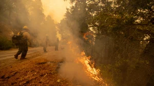 Windy Fire Update: 9-29-21 1 GettyImages 1235529188