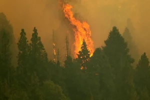 Tulare County Evacuation Warning: 9-27-21 2 SJM LWestern Wildfires 88080673