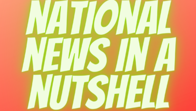 national news in a nutshell 1