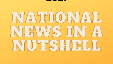 national news in a nutshell