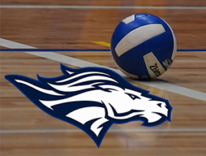 Bronco broncos Volleyball buhs