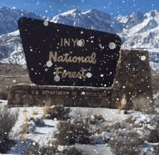 Inyo National Forest Sign snow