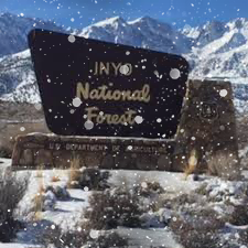 Inyo National Forest Sign snow