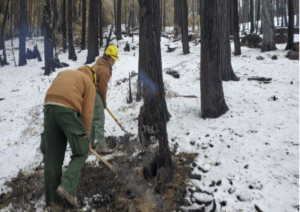 Firefighters on the French Fire