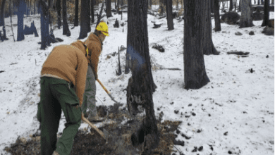 Firefighters on the French Fire