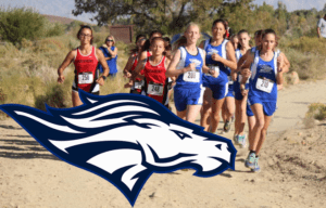 Bronco Cross Country