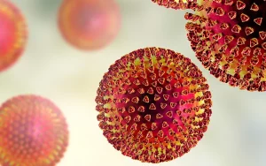 RSV Virus