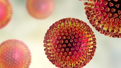 RSV Virus