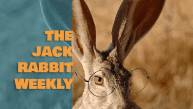 The Jack Rabbit Weekly