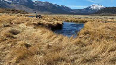 Though Widely Contested, Kore Mining Begins Drilling as soon as Tues Nov. 16th in Long Valley. 4 Hot Creek Ranch