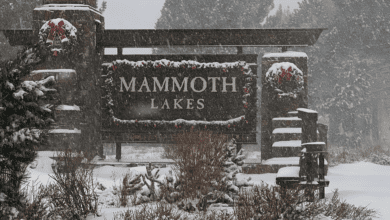 MAmmoth Lakes Holiday Sign