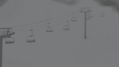 Screen Shot 2021 12 23 at 3.59.47 PM