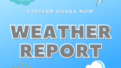 Weather Report
