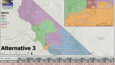 Mono County Board of Supervisors Adopts New District Boundaries 10 screen shot 2021 12 17 at 9.50.46 am
