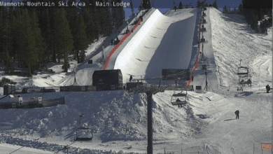 Mammoth Mountain Snow Report 2 Screen Shot 2022 01 06 at 11.52.54 AM