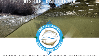 Sierra Bright Dot Fishing Report 01-28-2021 7 Trout Rodeo Banner 2