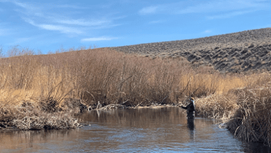 Owens River Clean Up in Bishop, California - Saturday, April 23 2 PV Fisherman