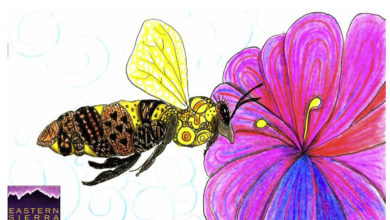 ESLT’s Deep Roots Pollinator Garden Workshop 8 Screen Shot 2022 03 28 at 1.46.34 PM