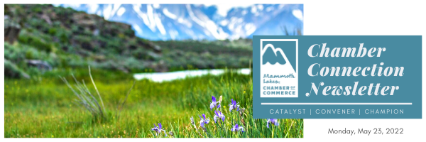 Mammoth Lakes Chamber of Commerce: Your Weekly News - May 23, 2022 1 660pUg8wOzkEymcRFlQwYn7vkIAFFCZE5F0mbkxGJsv9PoC2UhqDjeZvXllpYNIKv0Aaa494uA Ue0Mc75OH2b1Ca GTHflun77i6x2WGnbUZnhAdkGrEvpw6MCdQaXsftbmGXz6zs1e5U6HCPT0M1k6aY jCgs0 d e1 ft