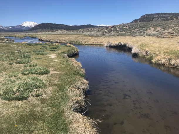 Sierra Bright Dot Fly Fishing Report - May 13, 2022 4 Screen Shot 2022 05 13 at 9.53.54 AM