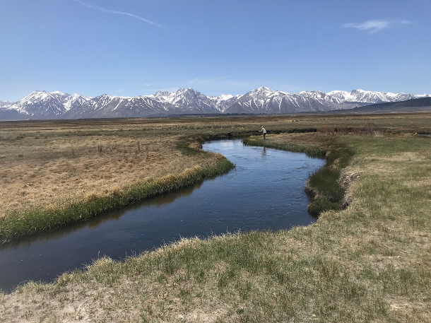 Sierra Bright Dot Fly Fishing Report - May 13, 2022 5 Screen Shot 2022 05 13 at 9.56.20 AM
