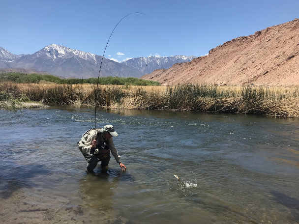 Sierra Bright Dot Fly Fishing Report – May 20, 2022 3 Screen Shot 2022 05 20 at 2.52.32 PM