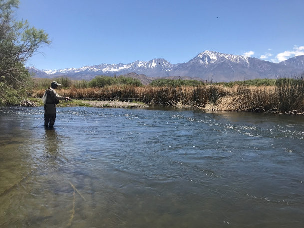 Sierra Bright Dot Fly Fishing Report - May 27, 2022 3 Screen Shot 2022 05 27 at 8.50.35 AM