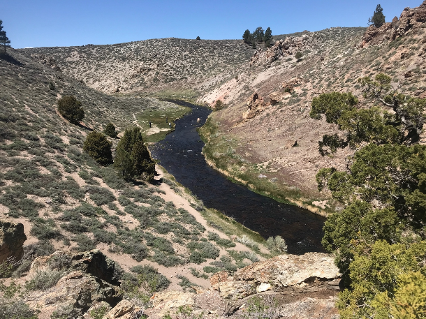 Sierra Bright Dot Fly Fishing Report - May 27, 2022 4 Screen Shot 2022 05 27 at 8.50.50 AM