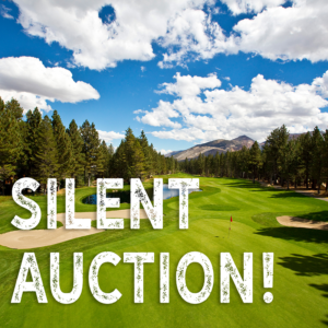 sierra star silent auction small