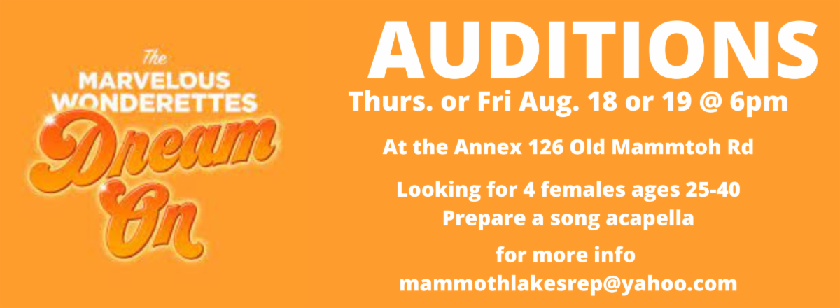 Auditions for The Marvelous Wonderettes Dream On! 31 unnamedauditions