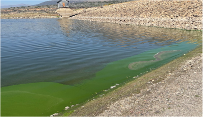 bridgeport reservoir 1