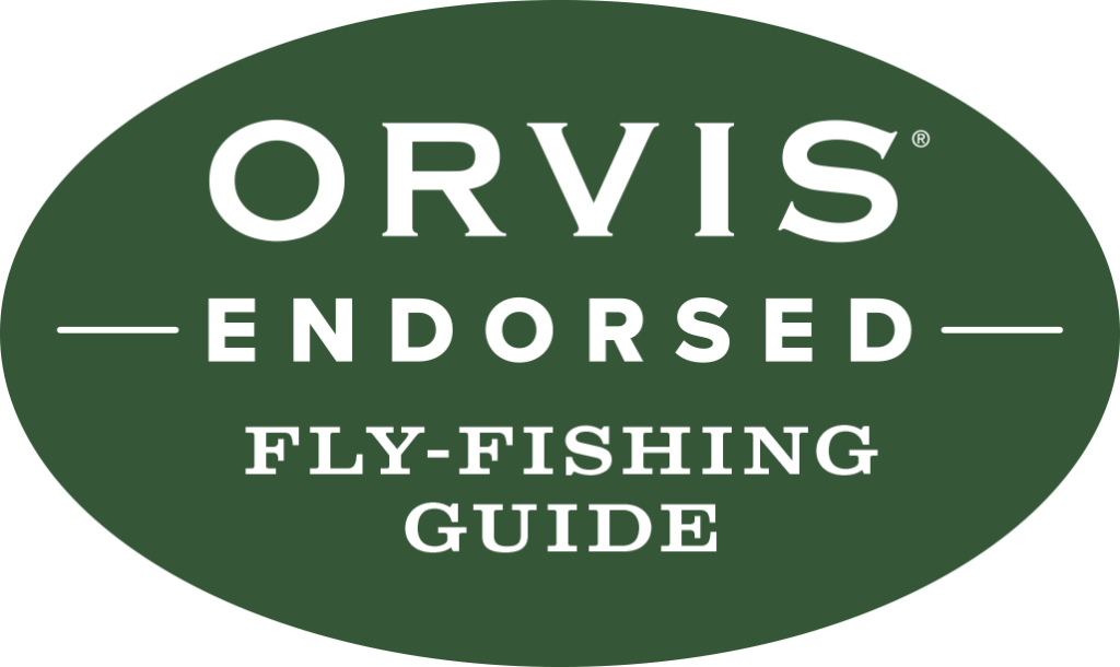 Golden Trout Guiding Co. Eastern Sierra Fly Fishing Report - October 5 3 unnamedorvis