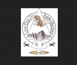 $73 Million Awarded to Tribes for High-speed Internet Access; Lone Pine Paiute-Shoshone Granted $1.86 Million 5 Screen Shot 2022 12 15 at 6.03.05 PM