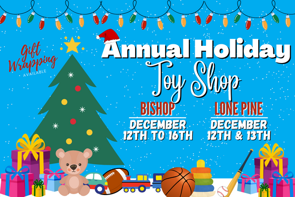 toydrive2022