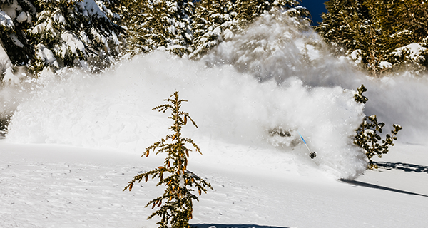 Mammoth Mountain Snow Report – January 19, 2023 8 unnamedmmsr 2