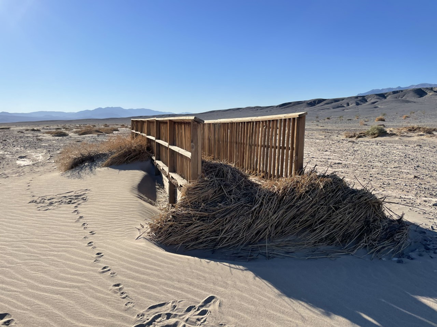Death Valley seeks public input on Salt Creek Boardwalk replacement 2 imageboardwalk2