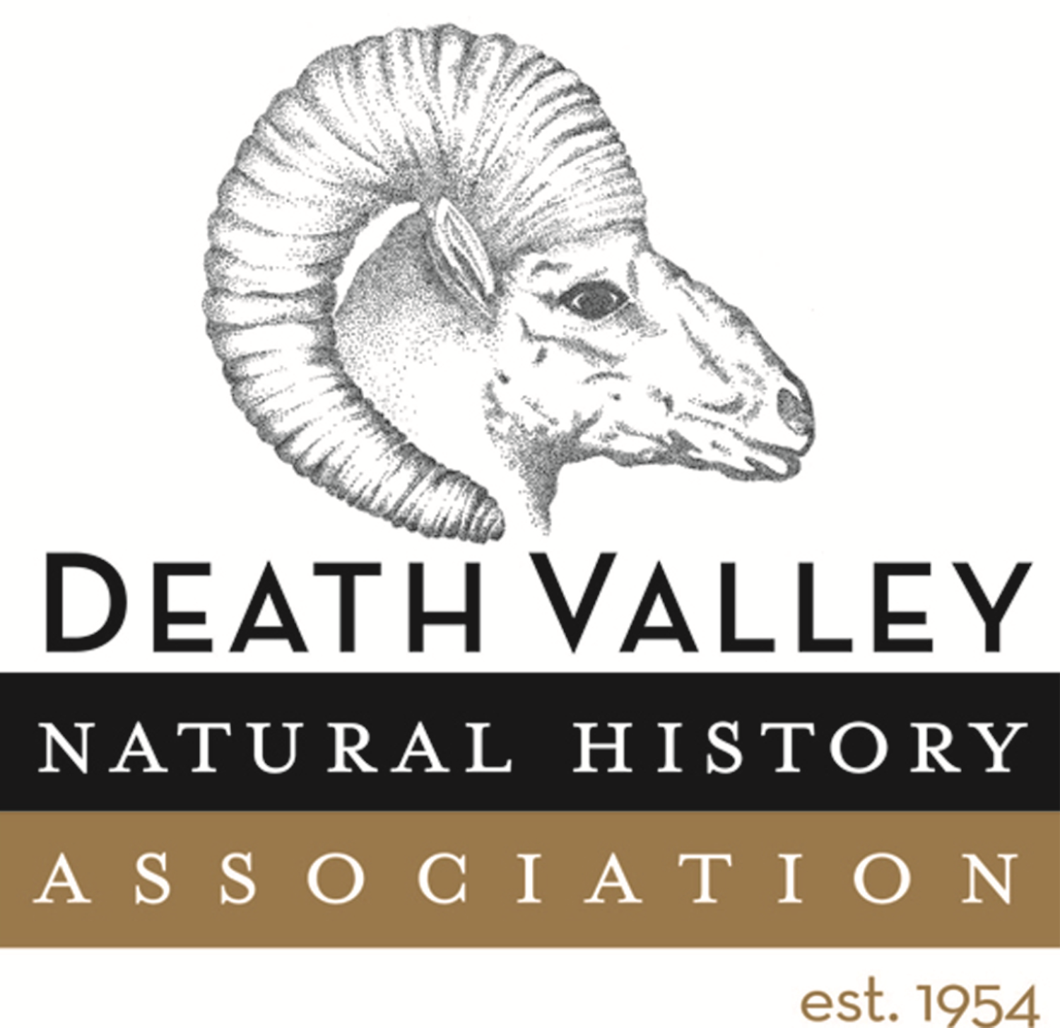 Death Valley Natural History Association November e-Newsletter 9 unnameddvnha