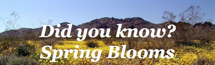 Did you know? Spring Blooms 7 Screen Shot 2023 03 22 at 10.40.50 AM