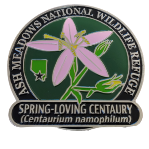 Did You Know? Wildflowers in the Death Valley Area 5 unnamedmer1