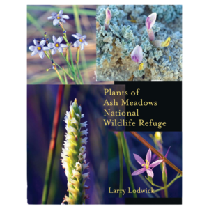 Did You Know? Wildflowers in the Death Valley Area 6 unnamedmer2