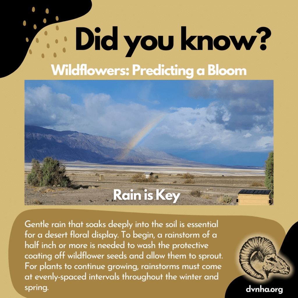 Did you know? Spring Blooms 2 unnamedrain