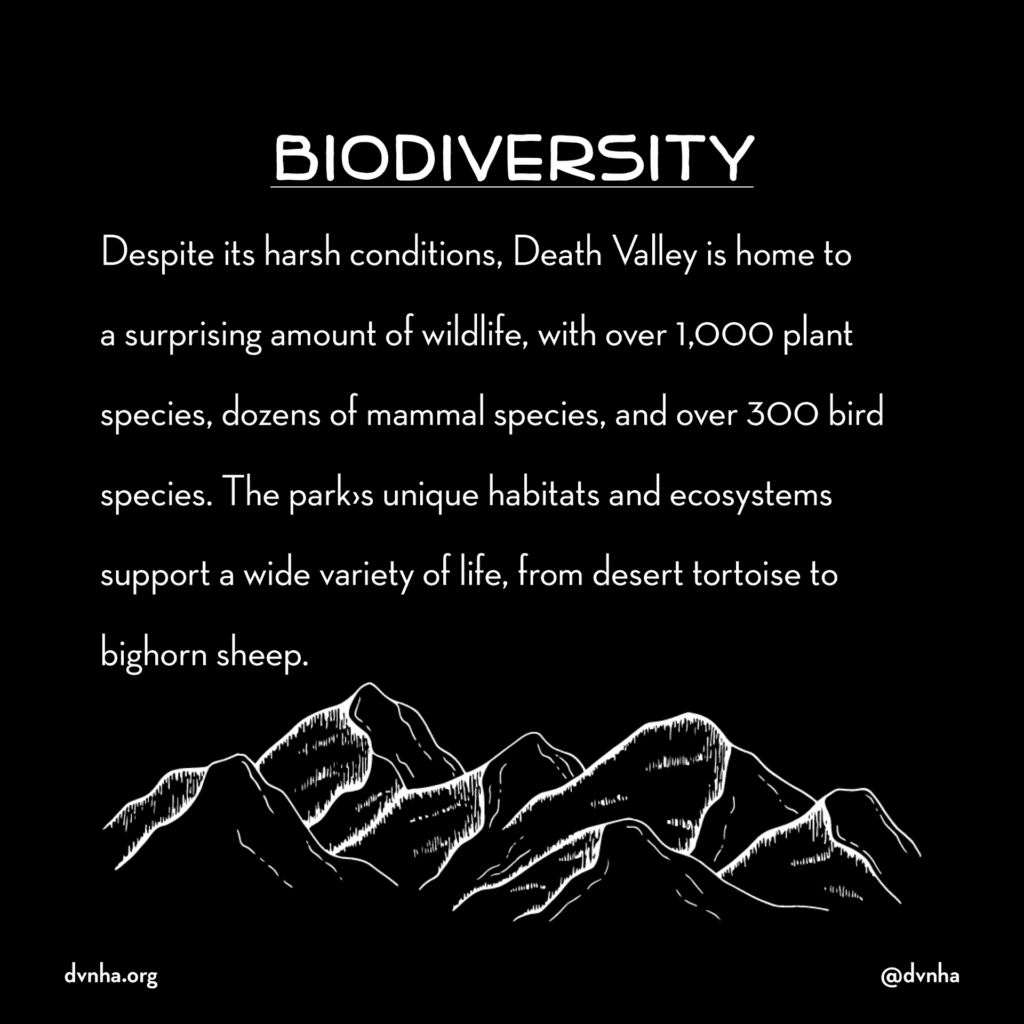 Celebrate National Park Week 2023! 2 unnameddv1