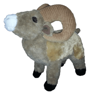 unnamedsheep