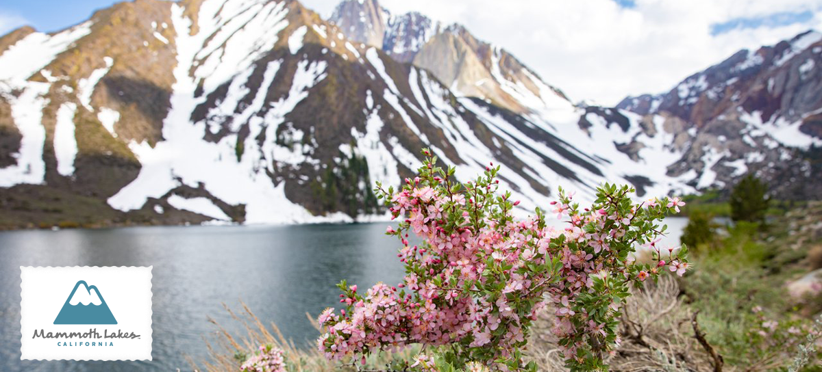 Snow Still Melting But Summer Is Coming 2 unnamedmam