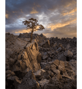Mammoth Lakes Open Air Arts & Crafts Fair, July 28-30, 2023 1 unnamed 1
