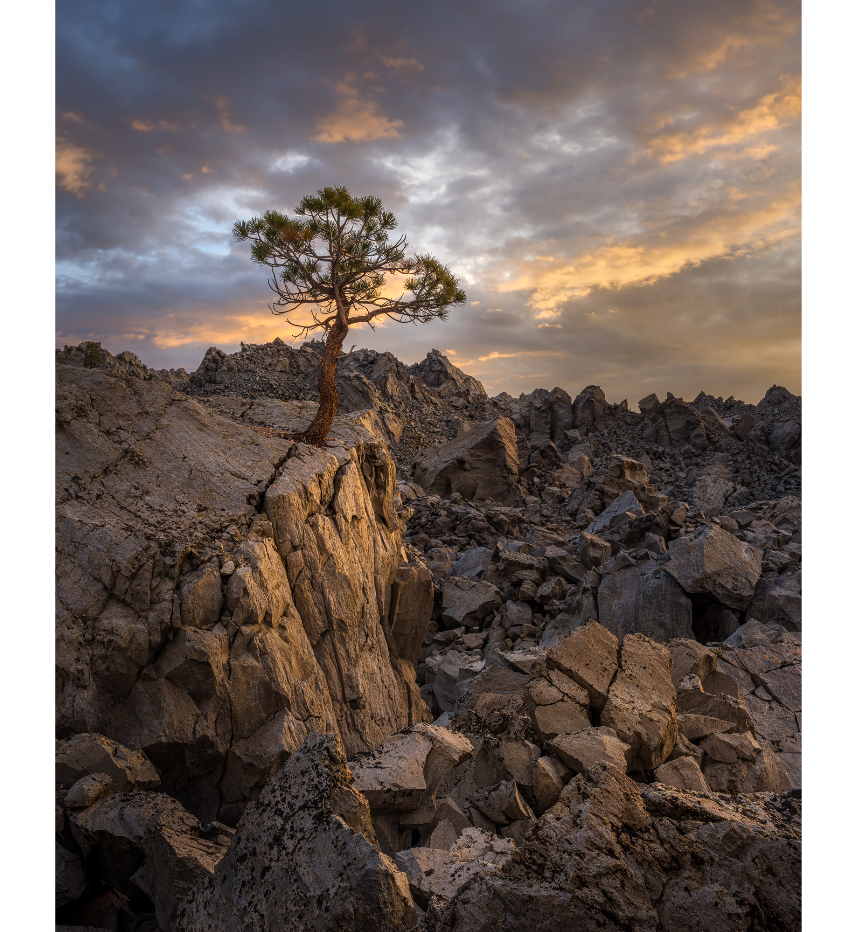 Mammoth Lakes Open Air Arts & Crafts Fair, July 28-30, 2023 6 unnamed 1